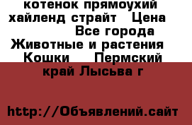 котенок прямоухий  хайленд страйт › Цена ­ 10 000 - Все города Животные и растения » Кошки   . Пермский край,Лысьва г.